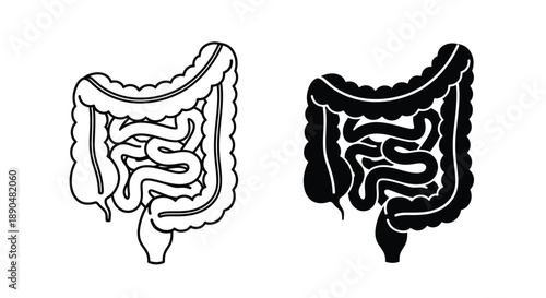 Anatomical illustration of the human large intestine black and white silhouette
