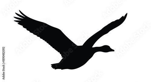 A striking black silhouette of a bird in mid flight silhouette