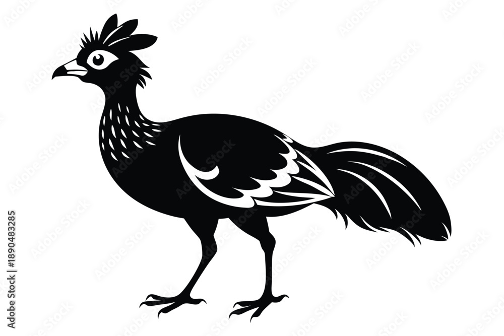 Fototapeta premium curassow silhouette line art vector illustration