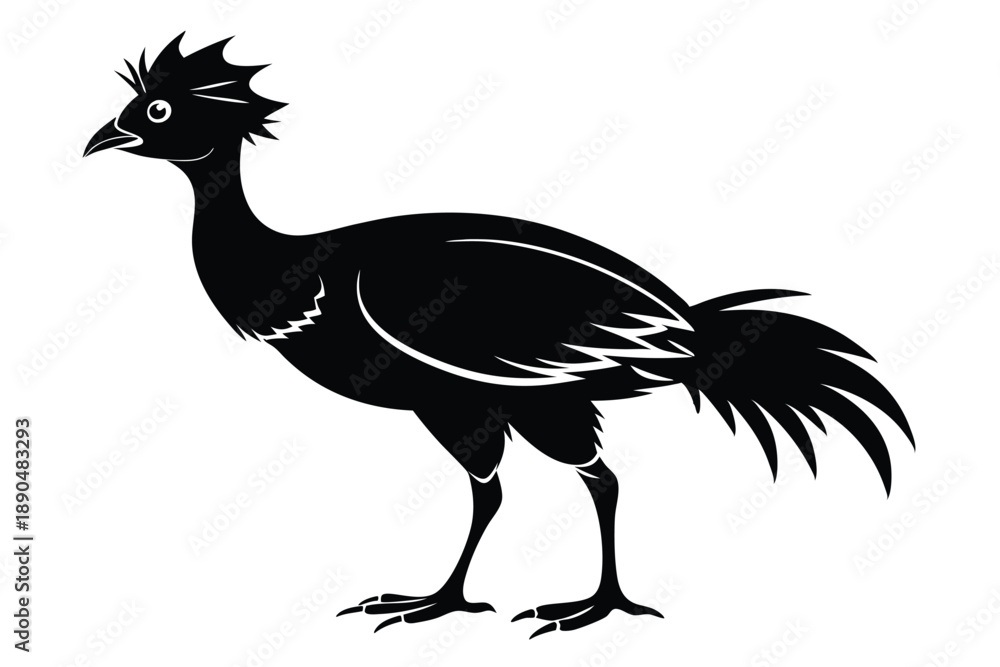 Fototapeta premium curassow silhouette line art vector illustration