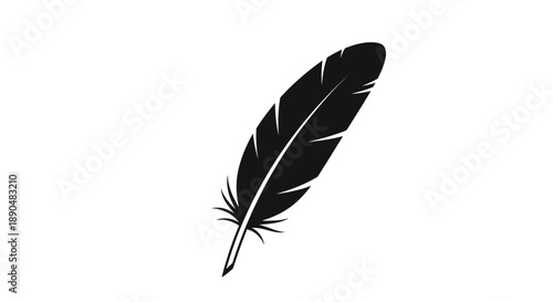 A detailed black feather illustration with elegant curves silhouette