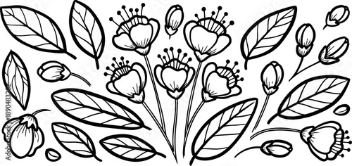 Black and white hand drawn flower buds and leaves arranged in a decorative botanical composition vector art