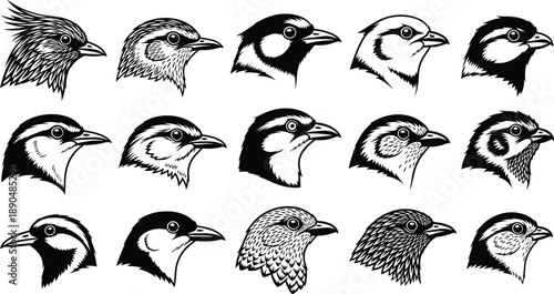 Bird head silhouettes collection, various species profiles, wildlife illustration set, detailed avian faces, nature study, black and white vector art