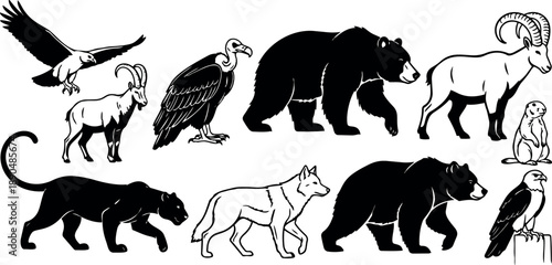 Black and white vector art of wild animals including bear, ibex, eagle, vulture, panther, and prairie dog in natural pose collection