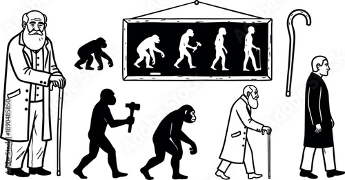 Black and white vector art depicting human evolution from ape to elderly man with cane and walking stick silhouette in minimalistic style