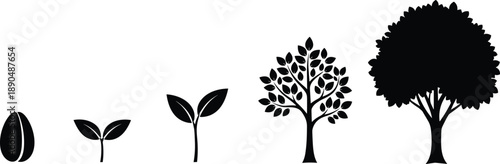 Tree growth stages silhouette illustration, seed to mature tree lifecycle, plant development process, nature education, ecology concept, black vector design