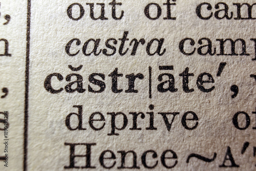 Принти на полотні Word business printed on dictionary page, macro close up