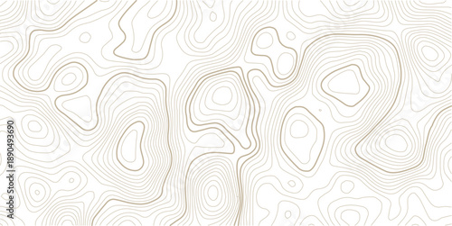 Seamless Light topographic topo contour map background, vector illustration .. Modern design with White background with topographic wavy pattern design.paper texture Imitation of a geographical map.