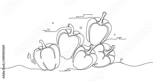 Hand drawn line art of bell peppers in minimalist style. Non editable stroke