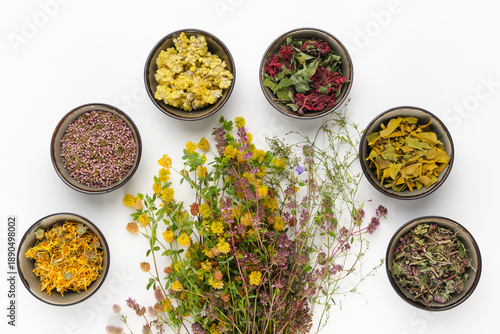 Assorted dry medicinal herbs on white background. Top view, flat lay of apothecary plants for alternative medicine, healthy nutrition and herbal tea.