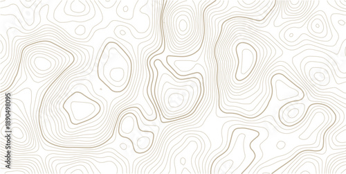 Seamless Light topographic topo contour map background, vector illustration .. Modern design with White background with topographic wavy pattern design.paper texture Imitation of a geographical map.