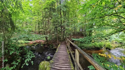 Walking Across Rustic Wooden Bridge Over Forest Stream – Immersive Nature Hiking POV
