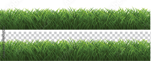 green grass on white background
