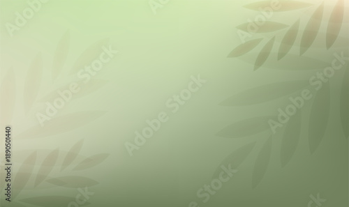 Palm Tree Leaves Leaves Frame Background