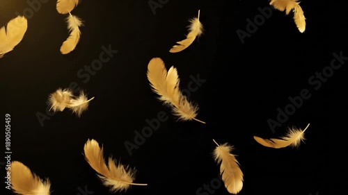 Golden feathers falling on black background. Flight and lightness concept for decorative element or advertising backdrop.