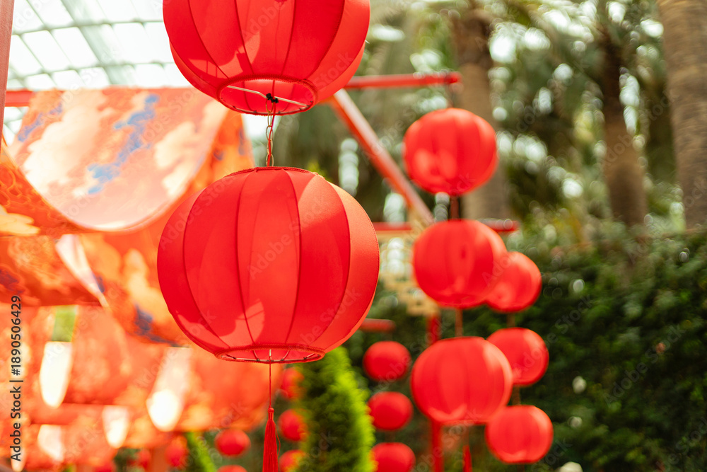 Fototapeta premium Bright red lanterns are seen hanging in a garden. They are part of a festival decoration. Green plants surround the lanterns, creating a lively setting