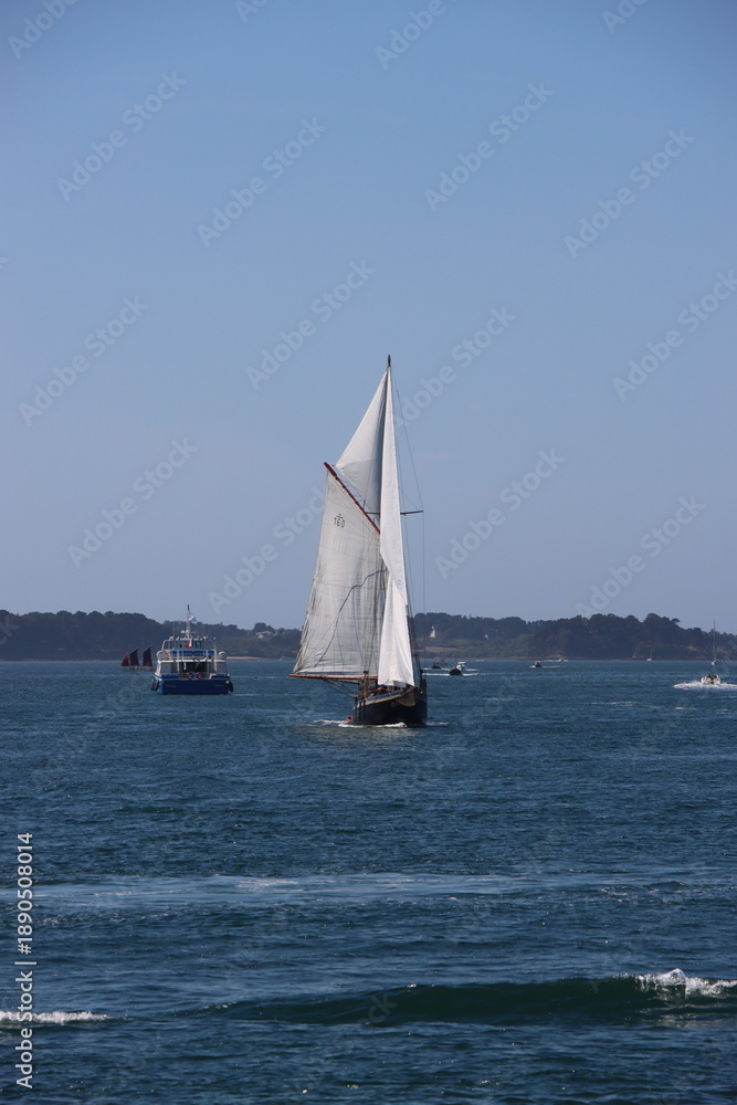Obraz premium sailboat on the sea, Gulf of Morbihan, France 