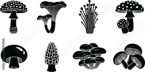 Mushroom vector icons set, black silhouettes of edible fungi, forest mushrooms collection for organic food, nature, botanical graphic design