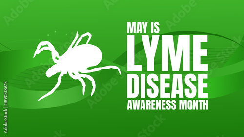 May is lyme disease awareness month banner, vector illustration