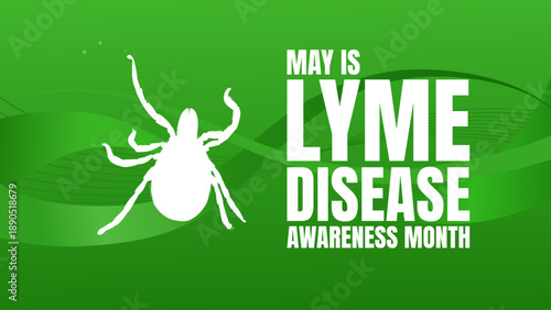 May is lyme disease awareness month banner, vector illustration