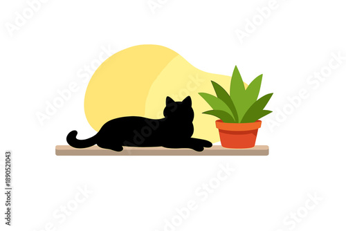 Black cat lays on a shelf next to a green plant under soft sunlight in a simple indoor setting during the day