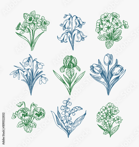 Set of vector spring flowers illustrations, hand drawn one color, daffodils, tulips, iris