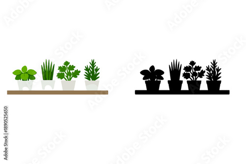 Four types of plants in pots displayed on a shelf with one side in color and the other in black silhouette style
