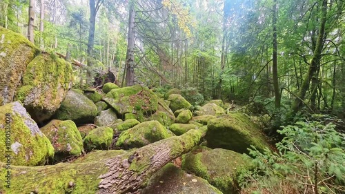 Massive Moss-Covered Granite Rock Formation in Dense Forest – Ancient Natural Landscape