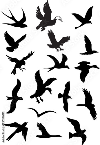 OISEAUX ET VOLATILES.eps