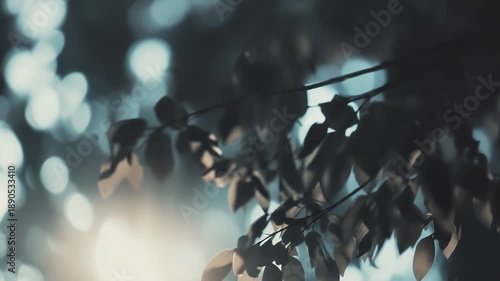 Natural green leaves are gently illuminated by a soft, warm light source, creating a tranquil bokeh background with shimmering out of focus lights, evoking a serene and peaceful atmosphere