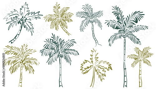 A doodle sketch style collection of single color palm tree illustrations. Perfect for island vacation graphics, travel, summer branding accents, and beach themed design projects.
