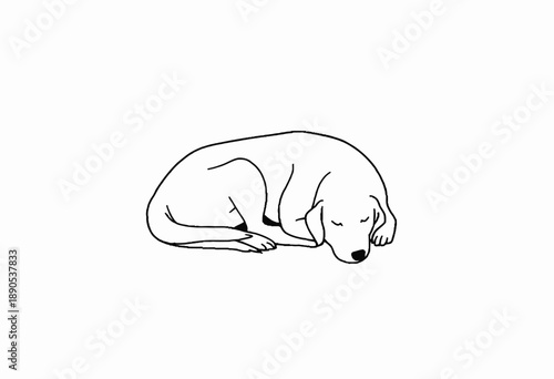 Minimalistic Black and White Illustration of a Peacefully Sleeping Dog Curled Up in a Restful Pose Against a Plain White Background Symbolizing Serenity and Calm