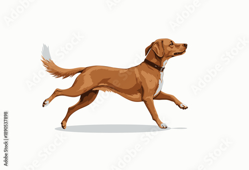 Illustration of a Lively Brown Dog with a Black Collar Running Playfully in a Dynamic and Energetic Pose Across a White Background