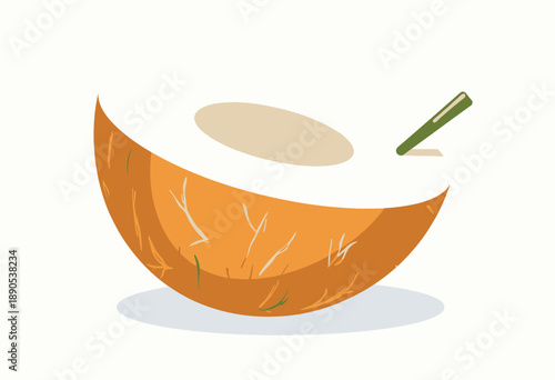 Illustration of a Freshly Cut Half Coconut Showing Brown Husk and Creamy White Flesh with Green Stem on Clean Background