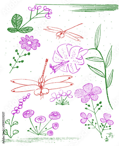 Bunch of beautiful blooming peony flowers hand drawn on white background.