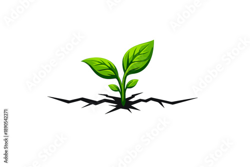 Plant grows through crack in ground showing the strength of life in tough conditions during daytime