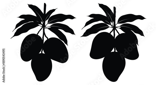 Two mangoes with leaves depicted as a striking black silhouette