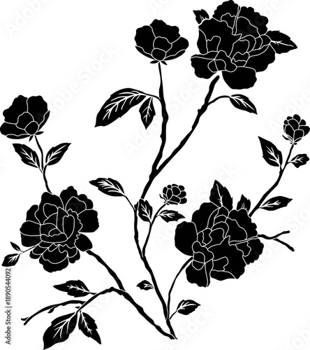 Bunch of beautiful blooming peony flowers hand drawn on white background.