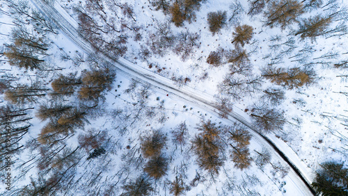 winter nature around Lake Most