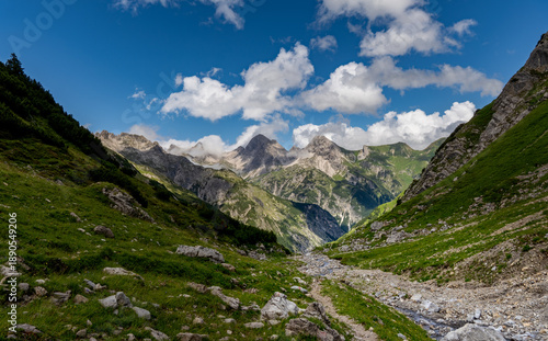 alps in the summer