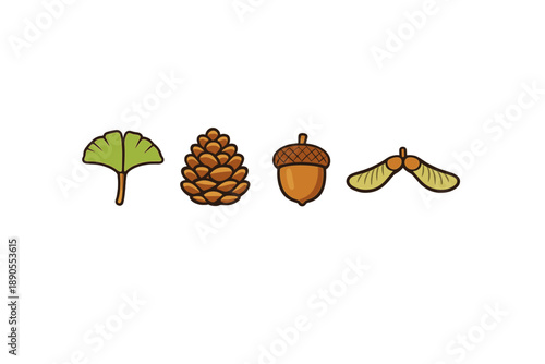 Different types of seeds and leaves shown in a simple illustration for educational purposes in nature studies