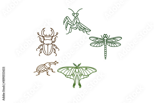 Insects and their designs featuring beetles, a mantis, a dragonfly, and a moth in green and brown colors on a white background