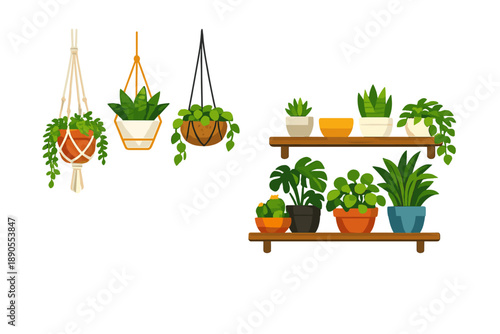 Hanging plants and potted plants on shelves in a simple indoor setting