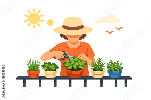 Gardening activity with a person pruning plants in pots on a sunny day in the backyard