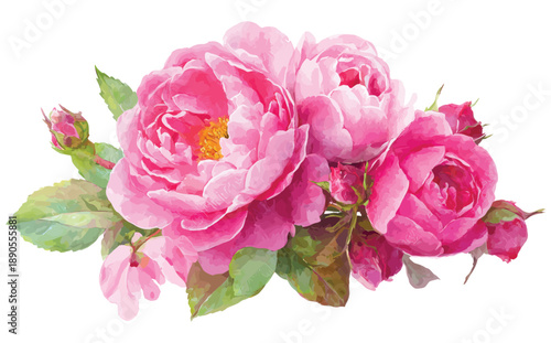 Magenta pink rose flower bouquet horizontal vector illustration