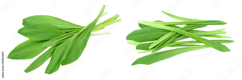 Fototapeta premium Ramson leaves isolated on white background with full depth of field, Top view. Flat lay
