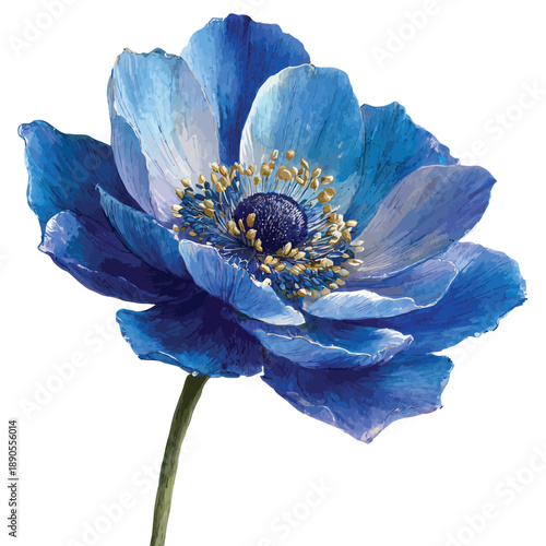 Large blue anemone flower head isolated vector illustration