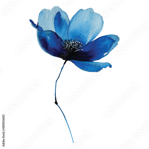 Nodding blue poppy flower isolated vector illustration