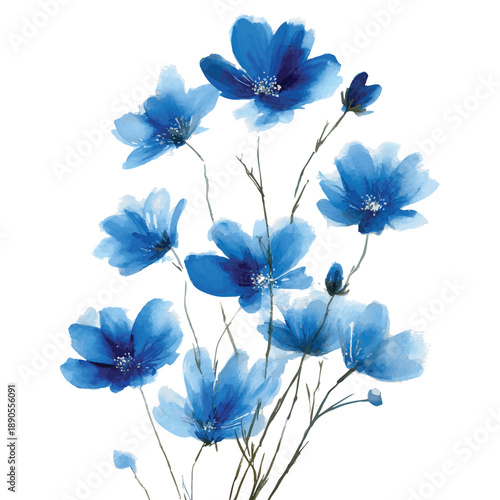 Tall blue meadow flowers on thin stems vector illustration