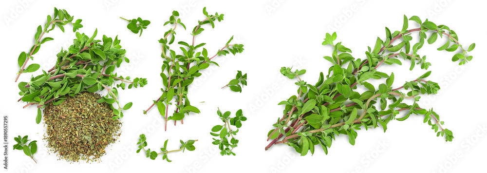 Fototapeta premium Oregano or marjoram leaves fresh and dry isolated on white background. Top view. Flat lay